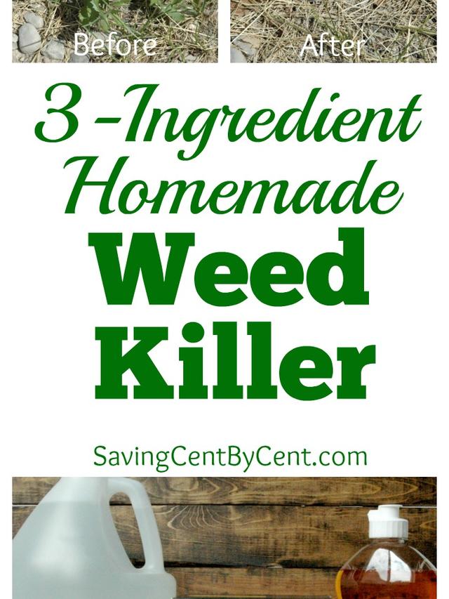 Apple Cider Vinegar and Other Household Items for Natural Weed Control