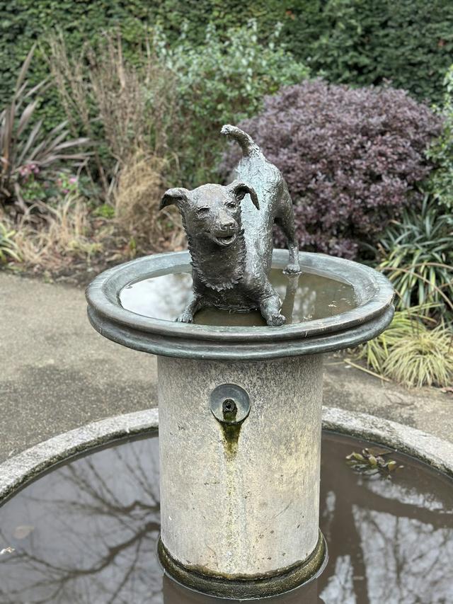 Best Dog Water Fountains