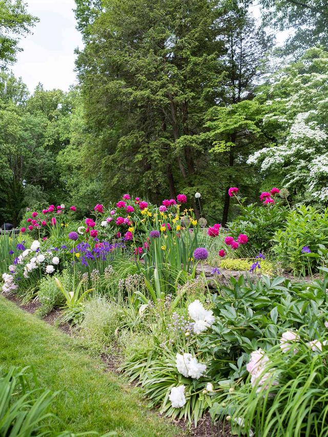 Best Perennial Flower Combinations for Creating a Diverse Garden in Wet Conditions