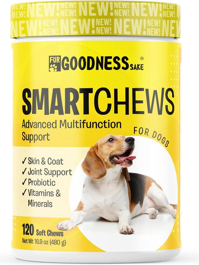 Best Supplements for Dogs