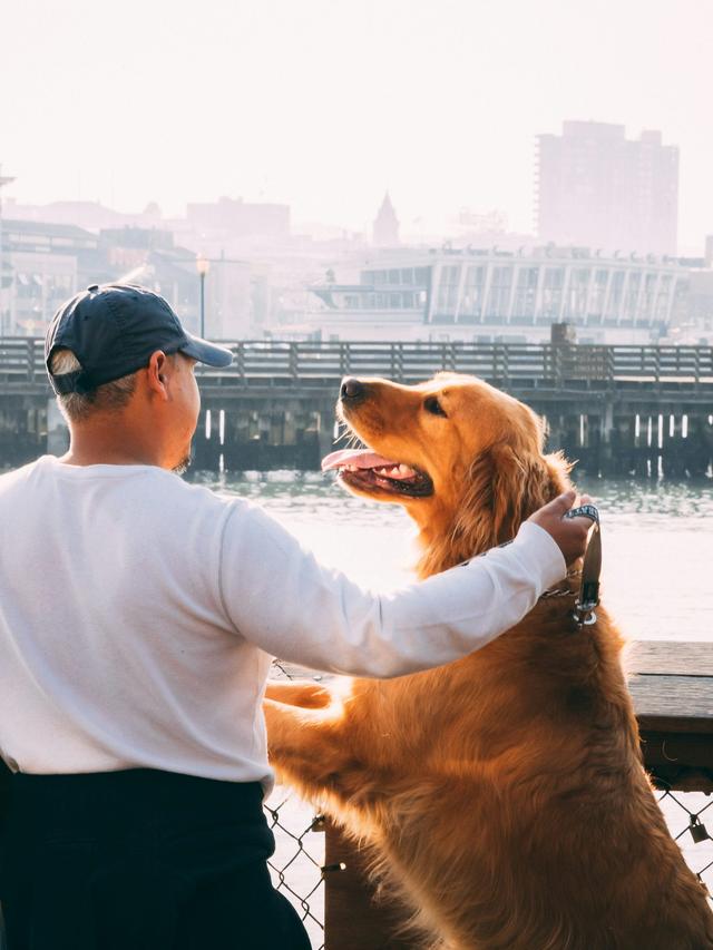 Building a Bond with Your Dog