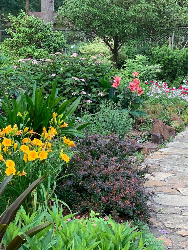 Choosing complementary colors and textures between perennials and annuals.