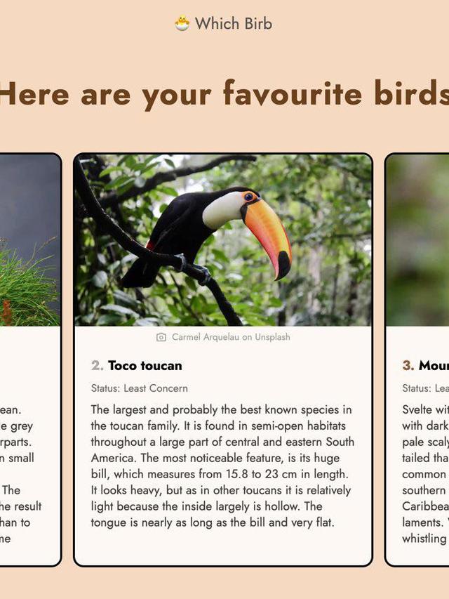 Comparing the Top Bird Identification Apps: Which One Is Right for You?