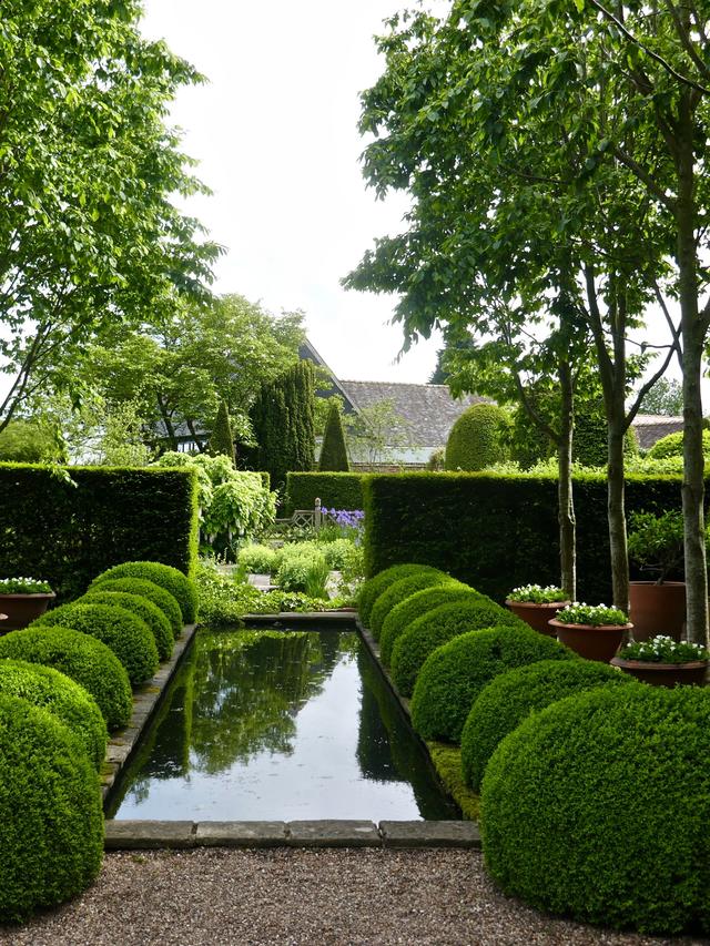 Creating visual interest with flowering perennials under evergreen trees.