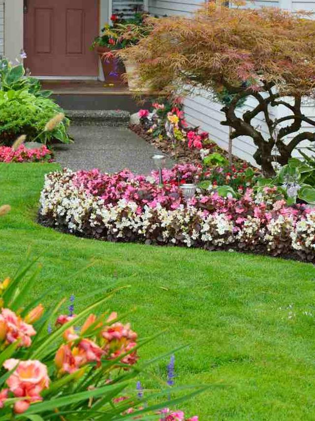 Design principles for integrating perennials and annuals in garden beds.