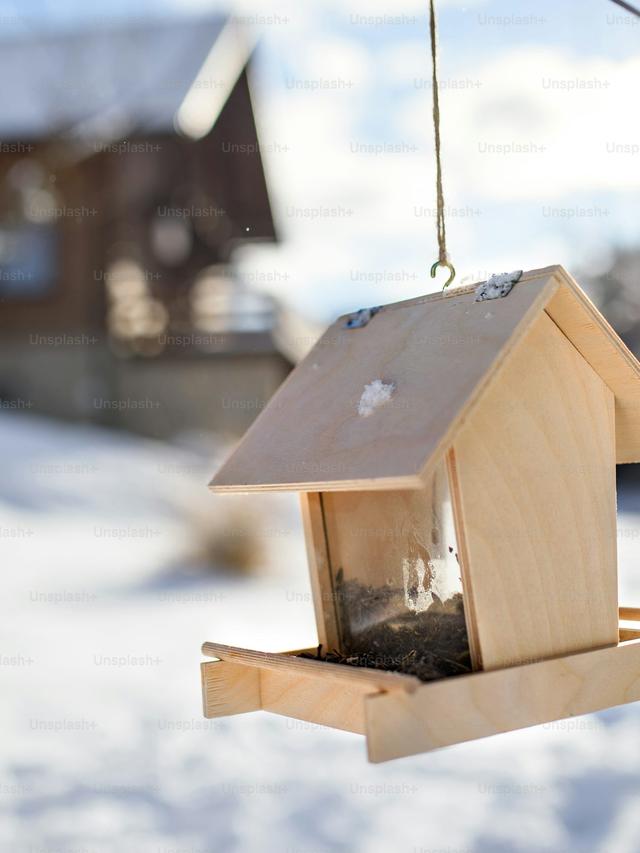 Designing Shelters and Nesting Areas for Birds in a Winter Garden