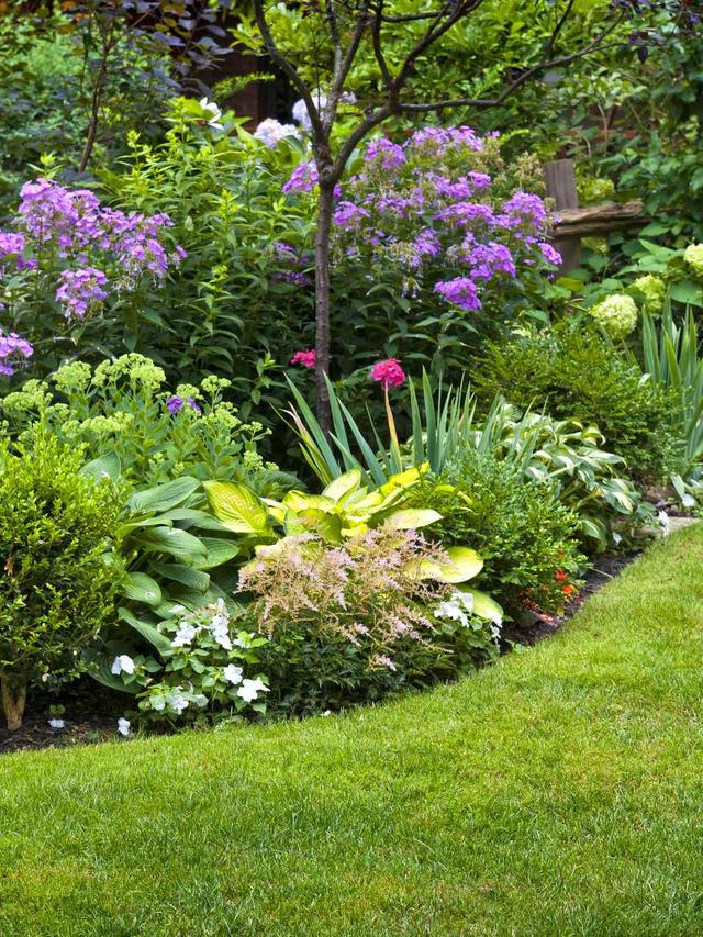 Designing with texture and color: using perennials to enhance landscaping.