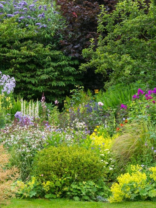 Expert Recommendations for Choosing Perennial Flowers That Flourish in Wet Conditions