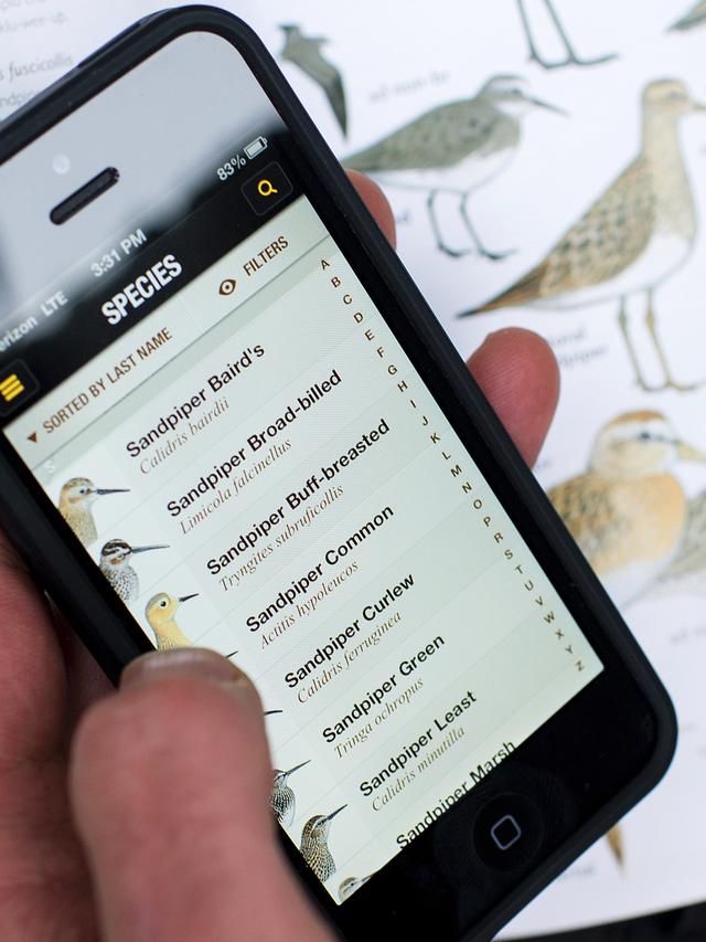 How Bird Identification Apps Are Changing the Way We Watch Birds