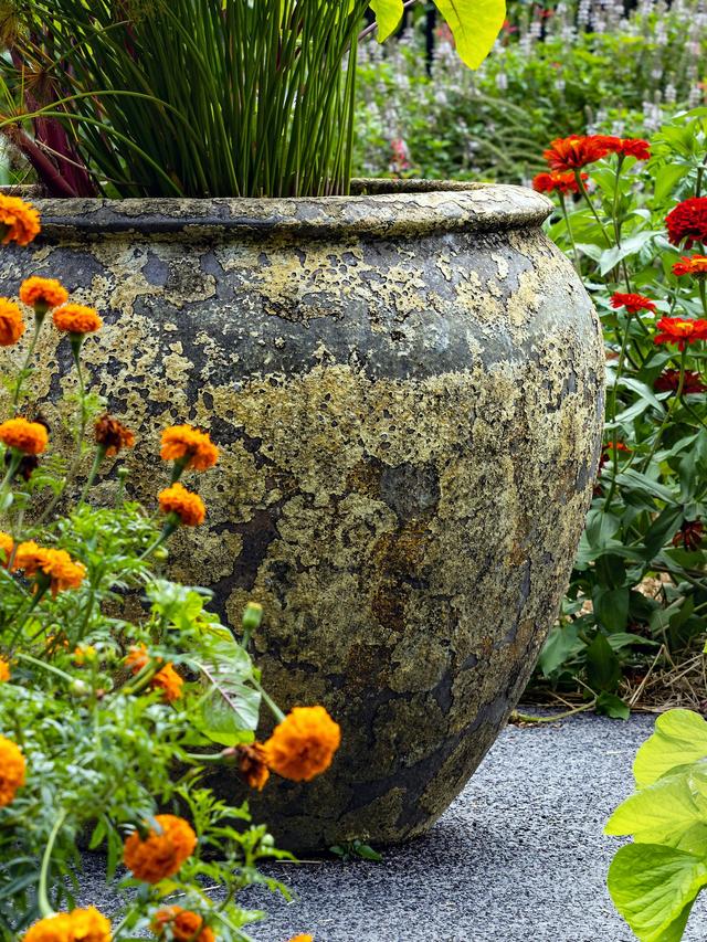 How to Design a Stunning Garden with Summer-Blooming Perennials