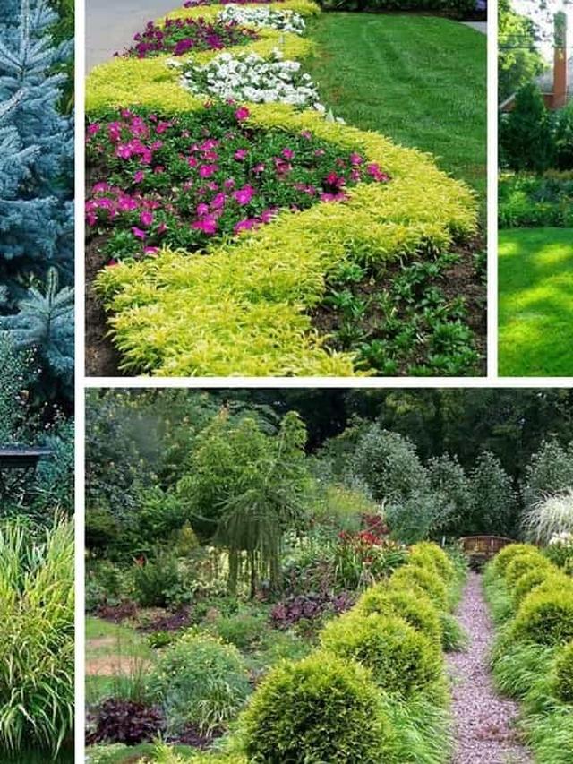 Incorporating flowering shrubs with perennials and annuals for a layered effect.