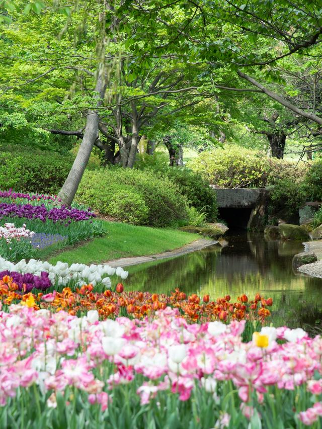 Perennial Flowers for a Historic Garden