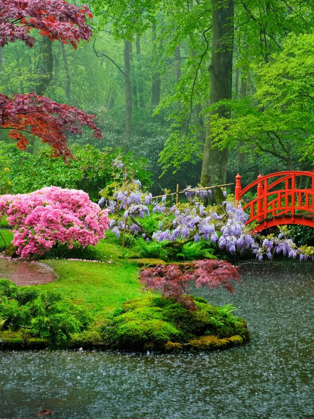 Perennial Flowers for a Zen Garden