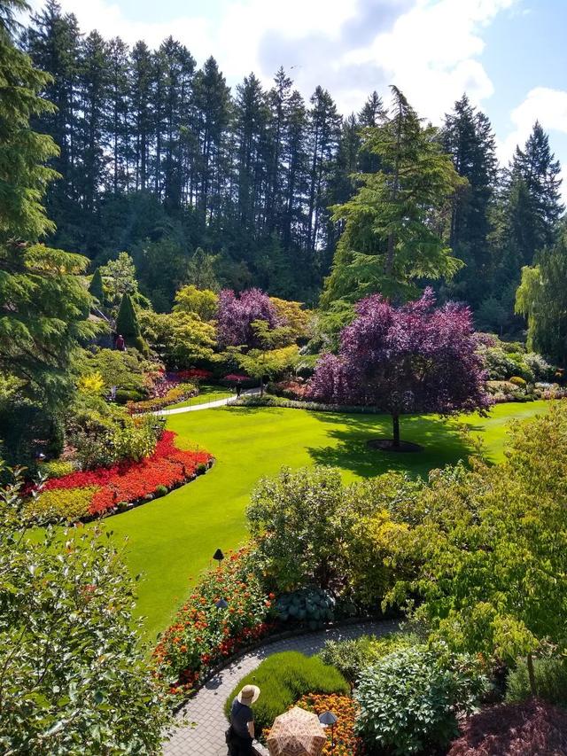 Perennial flowers for underplanting in urban and suburban landscapes.