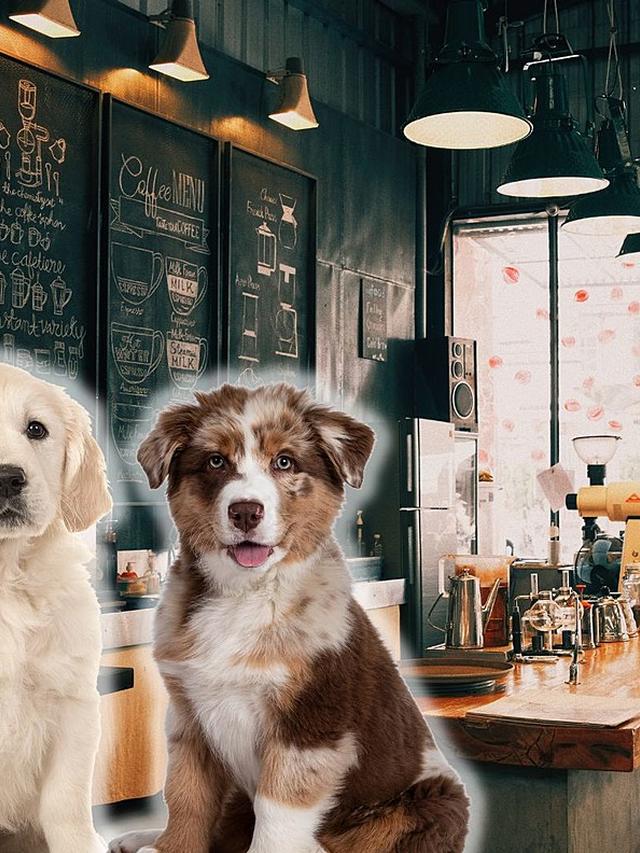 Pet-Friendly Dining: Best Places to Eat in New Jersey with Your Dog