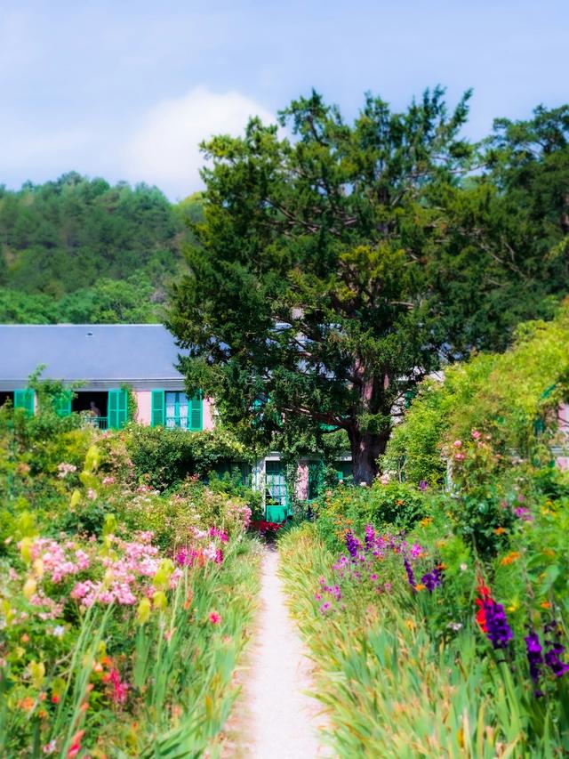 Summer-Blooming Perennials for Cottage-Style Gardens