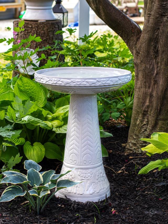 Top Pedestal Bird Baths for Classic Garden Designs