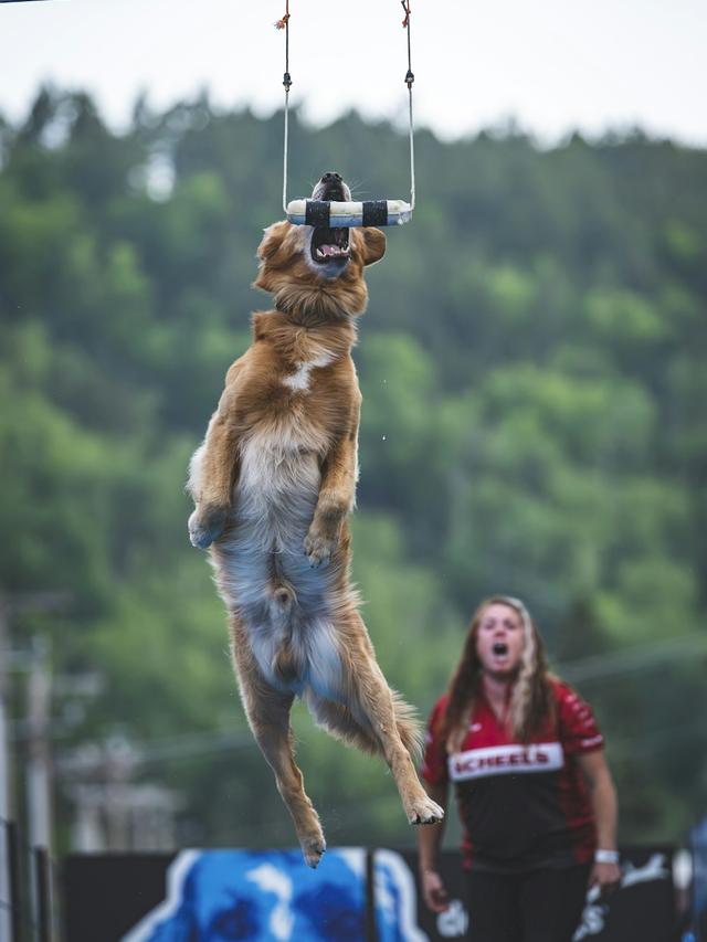 Training for Dock Diving