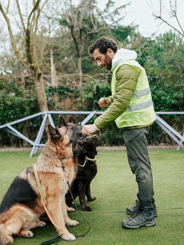 Training for Field Trials