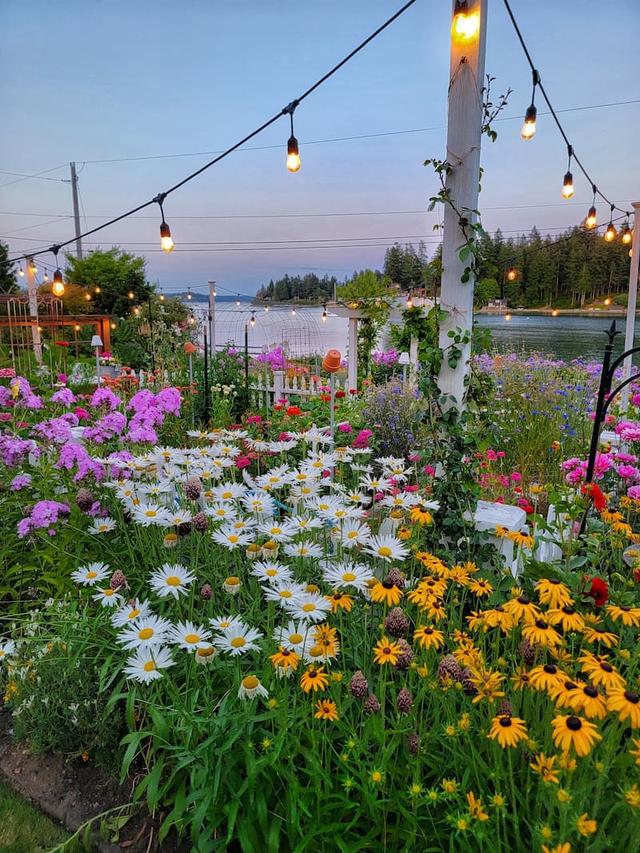 Transforming Your Wet Garden with Long-Blooming Perennial Flowers