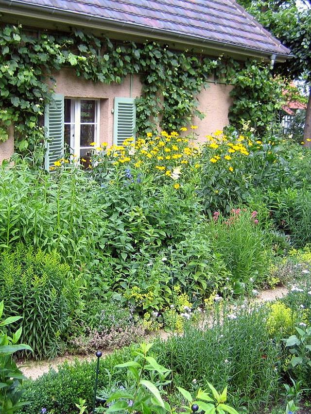 Using Native Plants to Create a Bird-Friendly Winter Garden