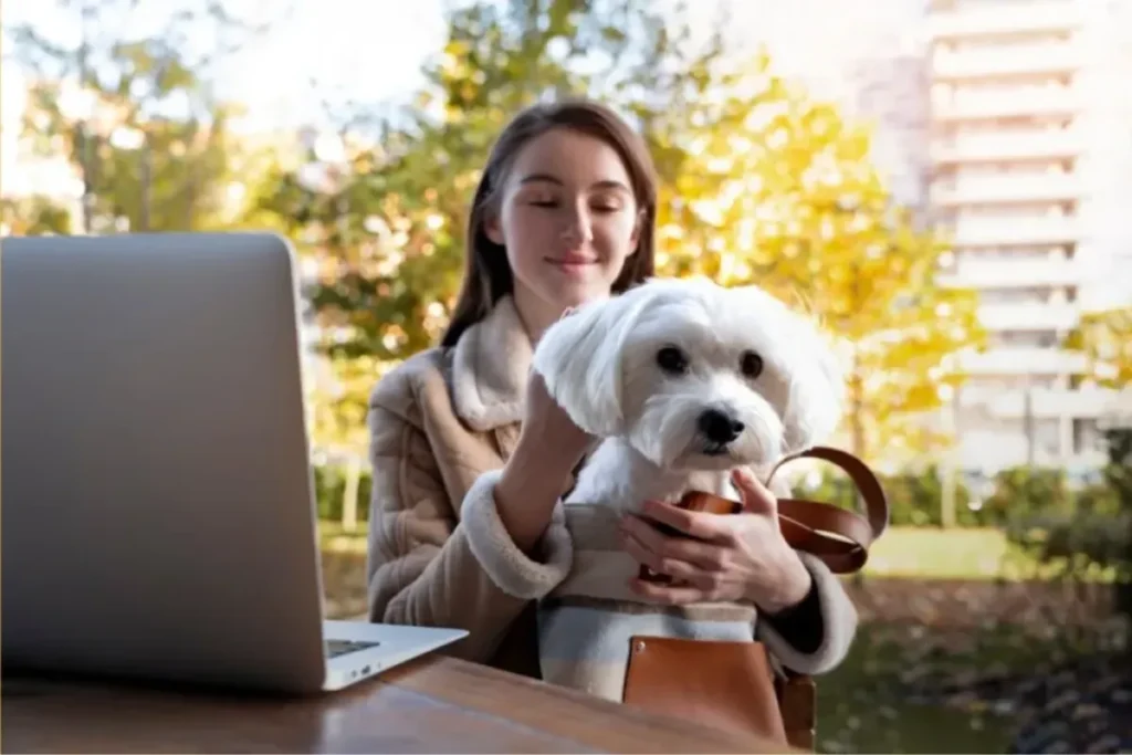 Traveling with Your Dog